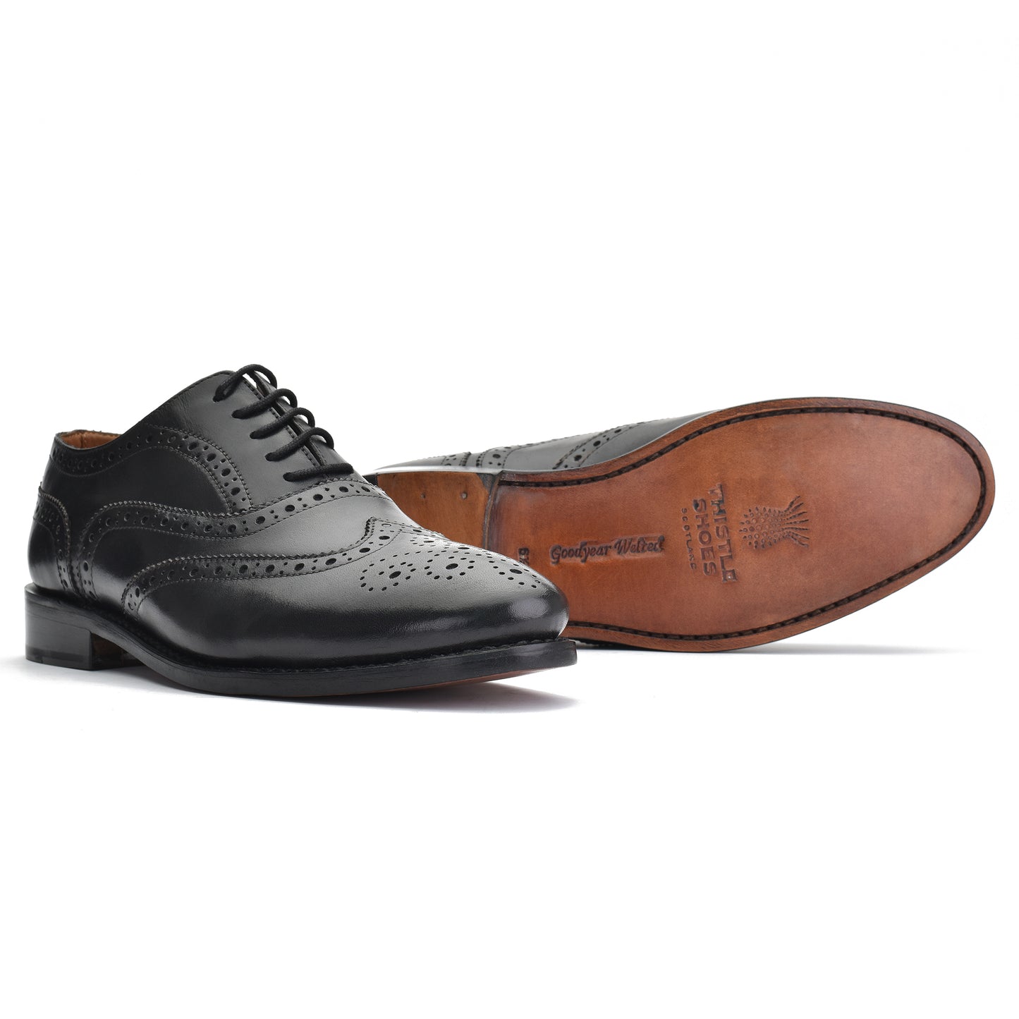 Oxford Brogue - Black (873/873B)