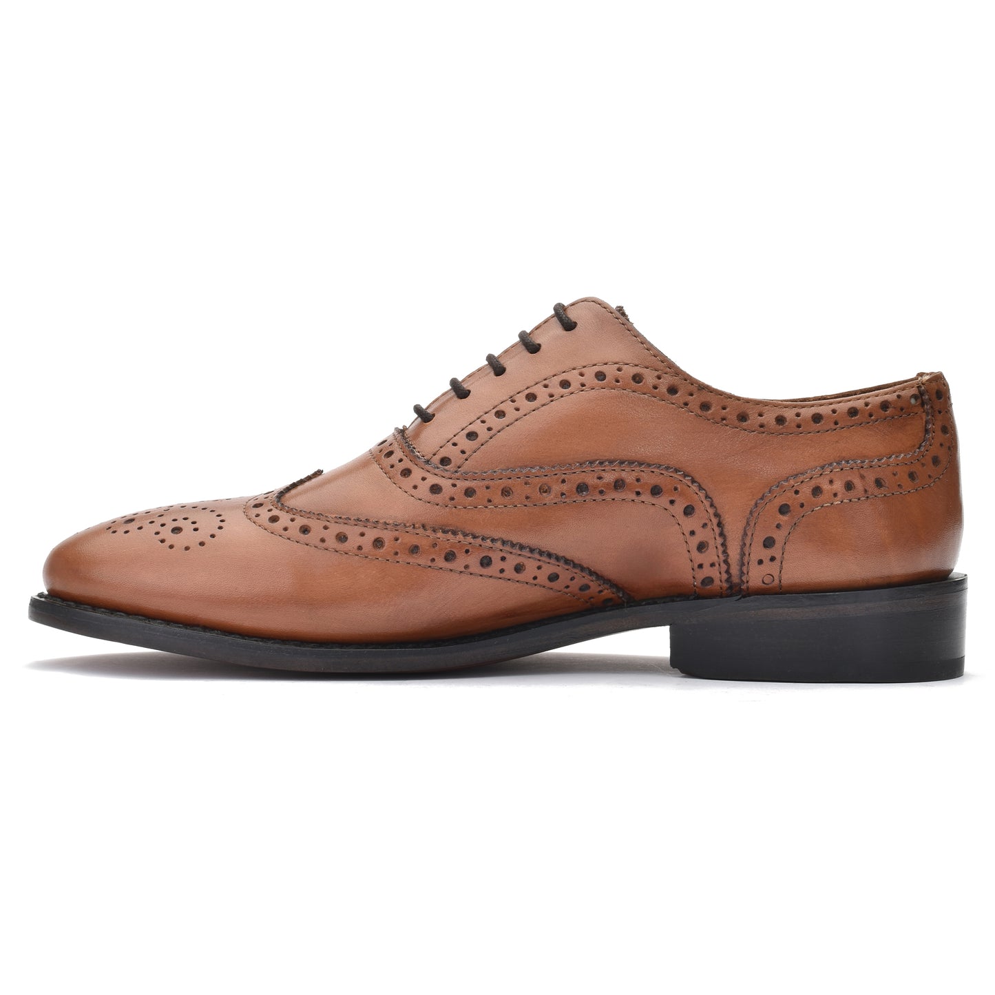 Oxford Brogue - Brown (873/873B)