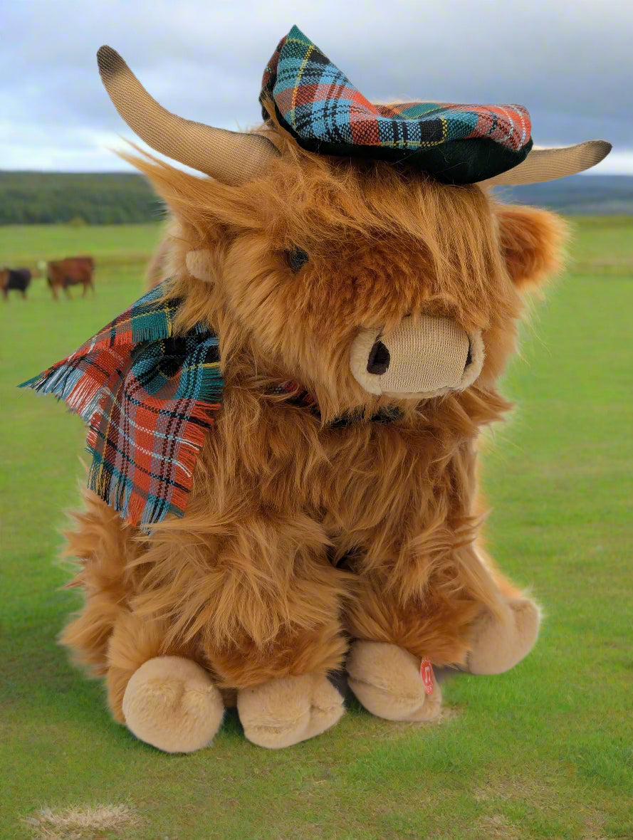 Large Highland Cow