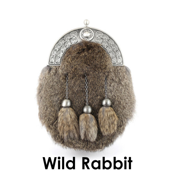 Wild Rabbit