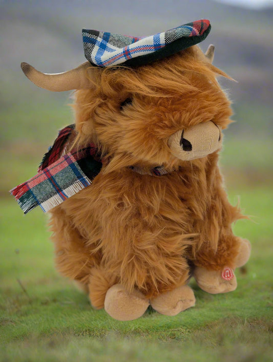 Large Highland Cow