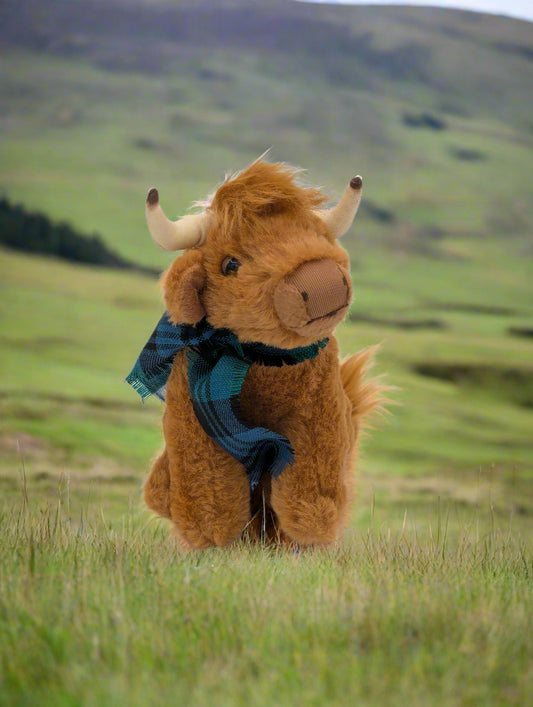Small Highland Cow